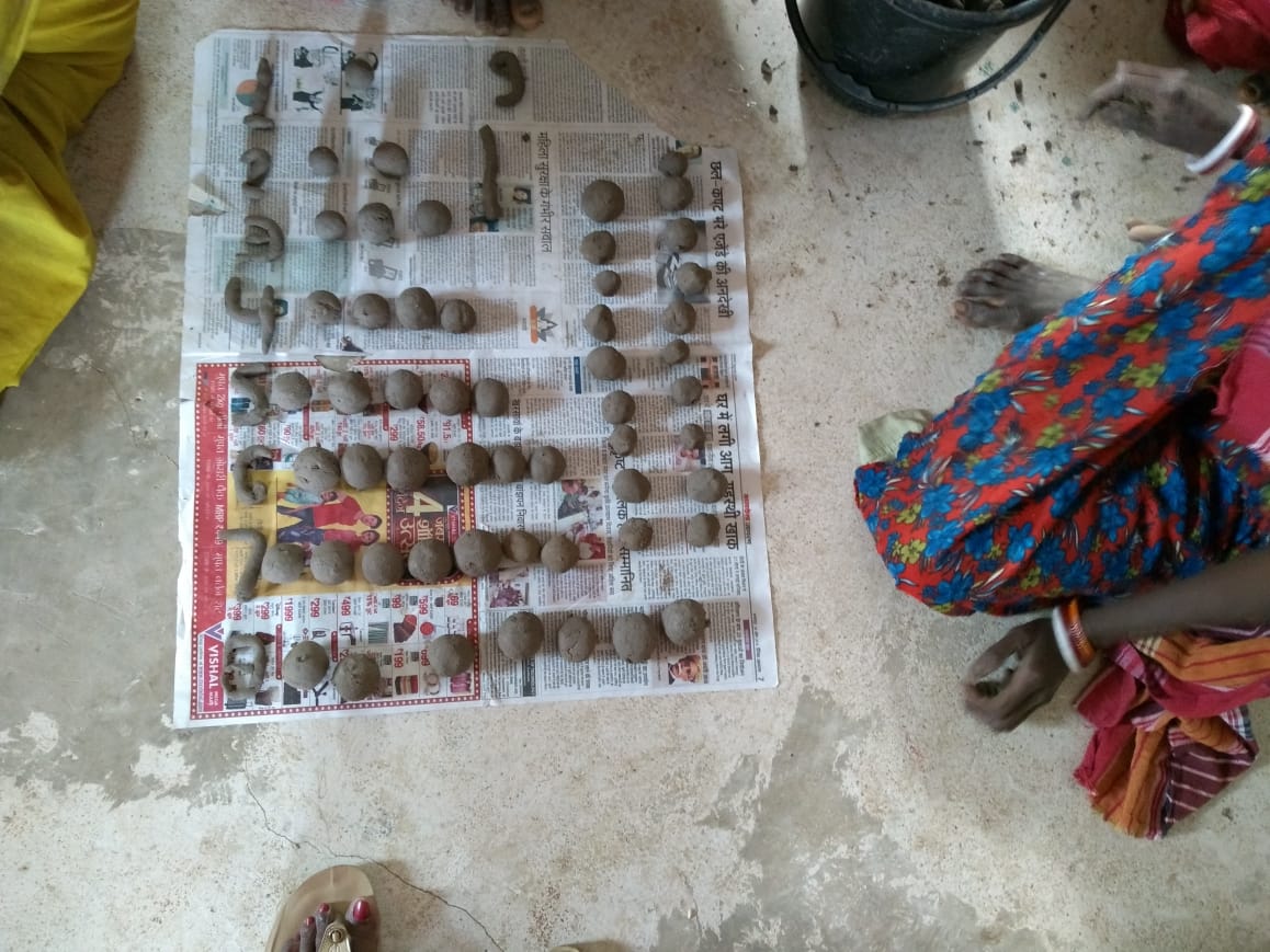 CSWR team and community members